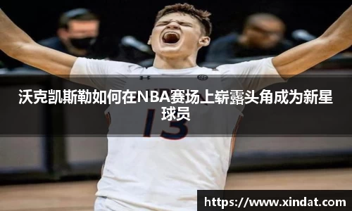 bsports必一体育